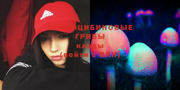 каннабис Майский