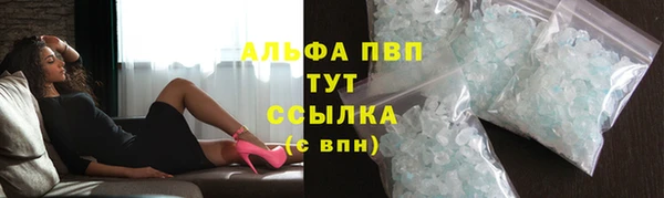 дмт Магас