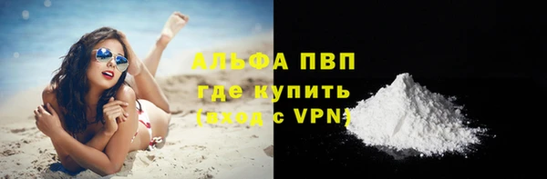 дмт Магас