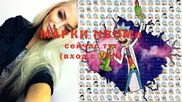молекула духа Щигры