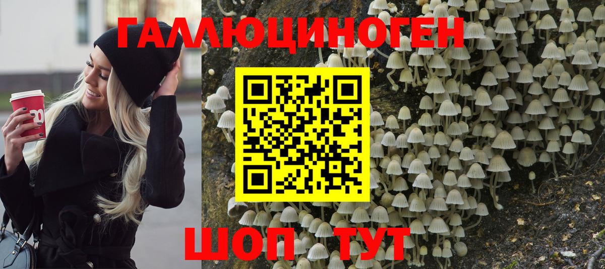 Галлюциногенные грибы MAGIC MUSHROOMS Гуково