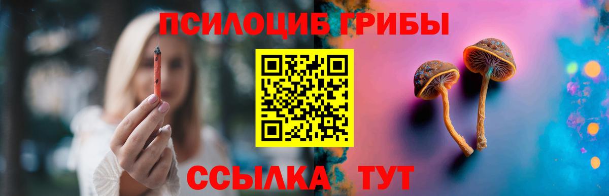 Галлюциногенные грибы MAGIC MUSHROOMS  Гуково  Псилоцибиновые грибы Psilocybine cubensis 